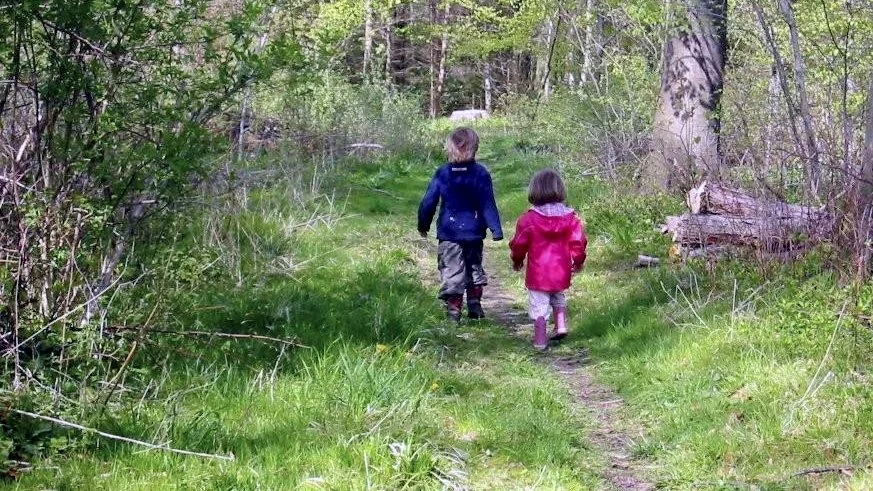 Disse to unge mennesker synes at have forstået reglerne, som blandt andet er, at man som skovgæst skal holde sig på stierne, at man ikke må lave bål, og at hunden skal være i snor. Arkivfoto