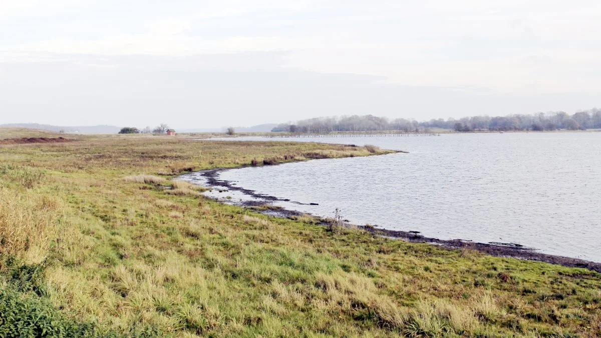 Der er ingen tvivl om, at jordudtagning er det mest attraktive klimavirkemiddel for landbruget, skriver viceformand i Landbrug & Fødevarer, Thor Gunnar Kofoed. Arkivfoto