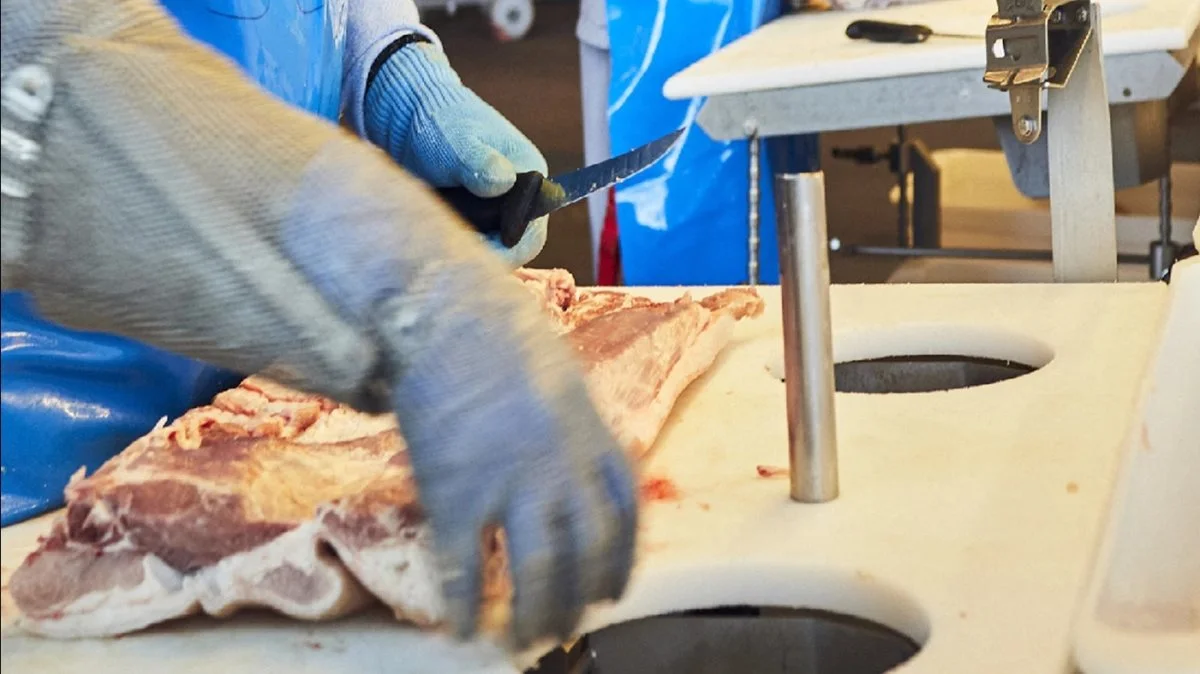 Udbruddet af afrikansk svinepest i Tyskland i efteråret 2020 koster nu 100 medarbejdere på den tyske udbeningsfabrik deres job. Foto: Danish Crown