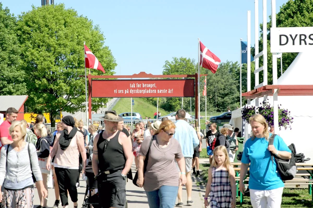Portene til Roskilde Dyrskue bliver næppe åbnet i år, så vi ses først på dyrskuepladsen næste år. Arkivfoto: Jesper Hallgren