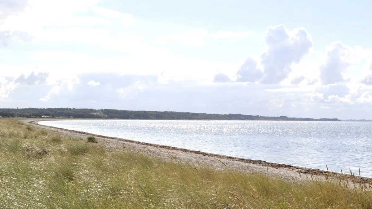 - Vi er alle interesserede i at få en ren fjord, som giver plads til bosætning, erhverv og fritid, siger Carl Christian Pedersen, der er medlem af primærbestyrelsen i Landbrug & Fødevarer og regionsformand for det samlede, nordjyske landbrug, der er med i kommissoriet. Et kommissorium Limfjordsrådet og landbruget har etableret i fællesskab.