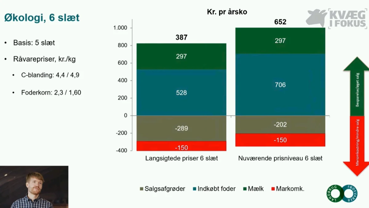 Med langsigtede priser kan det give 387 kroner pr. økologisk årsko at gå fra fem til seks slæt. Med de nuværende høje priser kan gevinst blive på hele 652 kroner.