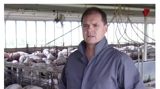 Dyrlæge og ASF-ekspert Tomasz Trela har i flere år arbejdet med rådgivning omkring ASF i Østeuropa og Asien. -  I dag rammer det også moderne farme med høj biosecurity og veluddannet personale – det er ret skræmmende, siger han.