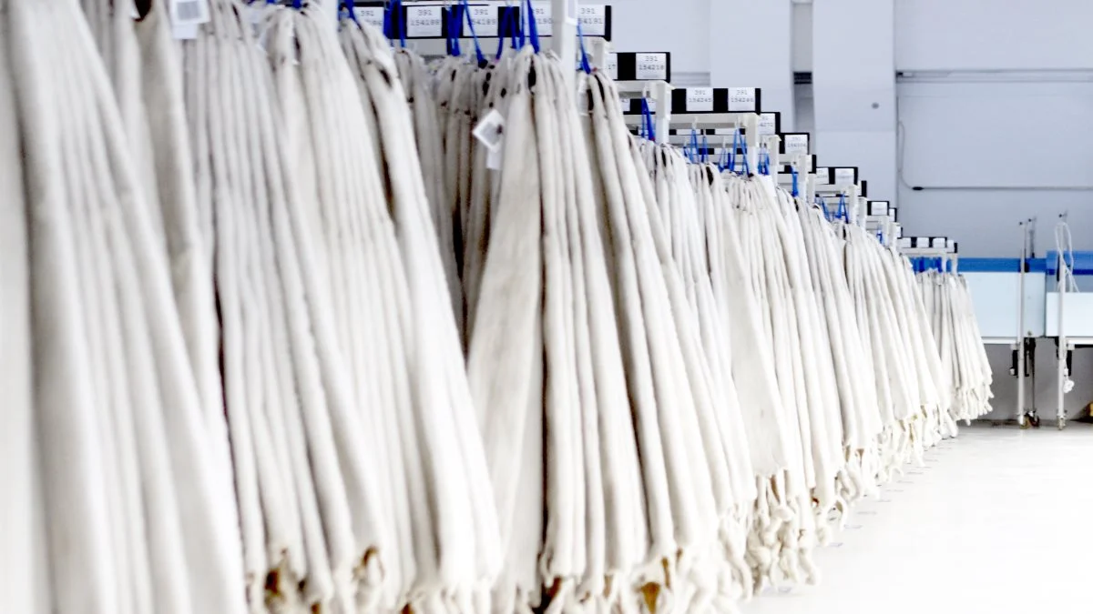 Kopenhagen Fur kunne melde alt udsolgt på årets anden minkauktion, hvor der blev solgt 2,8 millioner skind. Gennemsnitsprisen endte på 340 kroner. Foto: Lasse Ege Pedersen