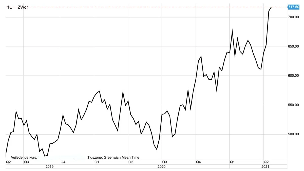CBOT-hvede i US-cent pr. bushel
Prisen for hvede i USA går også op. Dette til trods for, at det går godt med at så vårhvede i Amerika. Derimod er kvaliteten for vinterhvede ringe. 