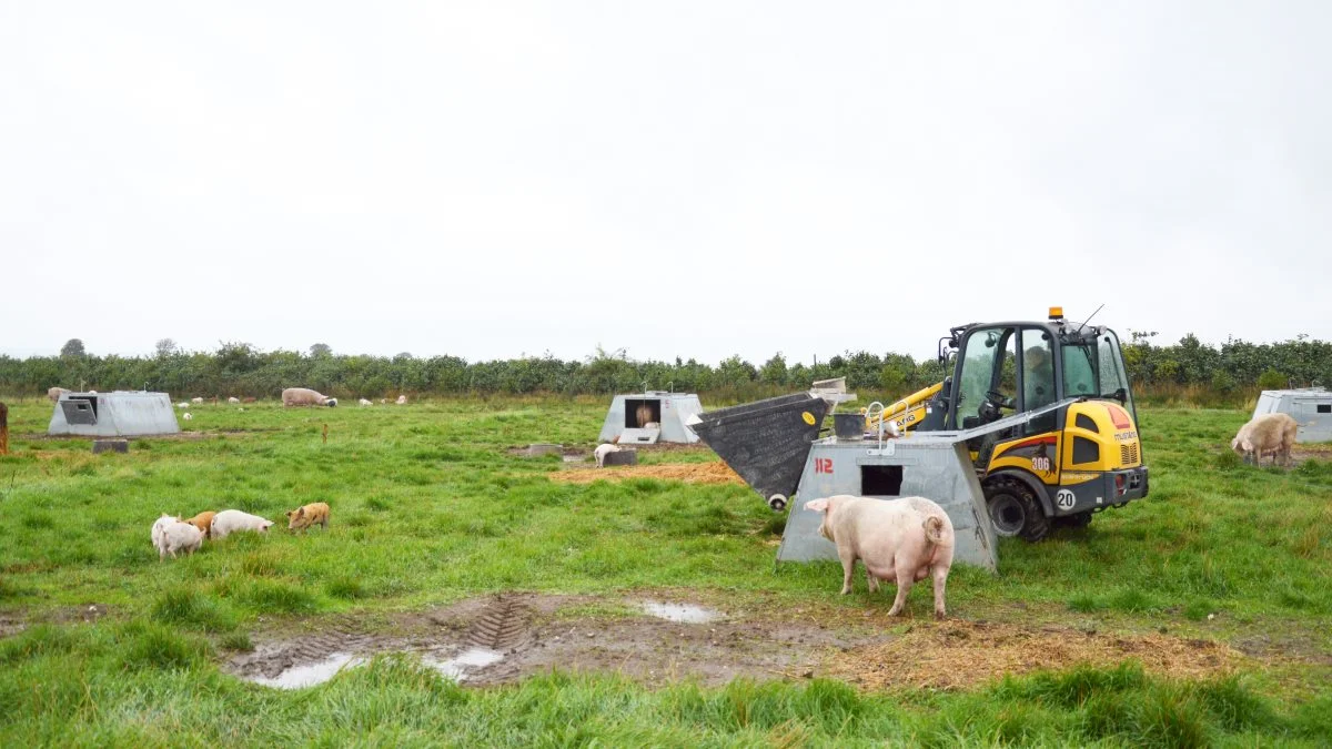 Med regeringens nye landbrugsudspil for klima- og miljø, som kom i denne uge, vil regeringen hæve arealstøtten til økologerne frem mod 2024. Foto: Camilla Bønløkke