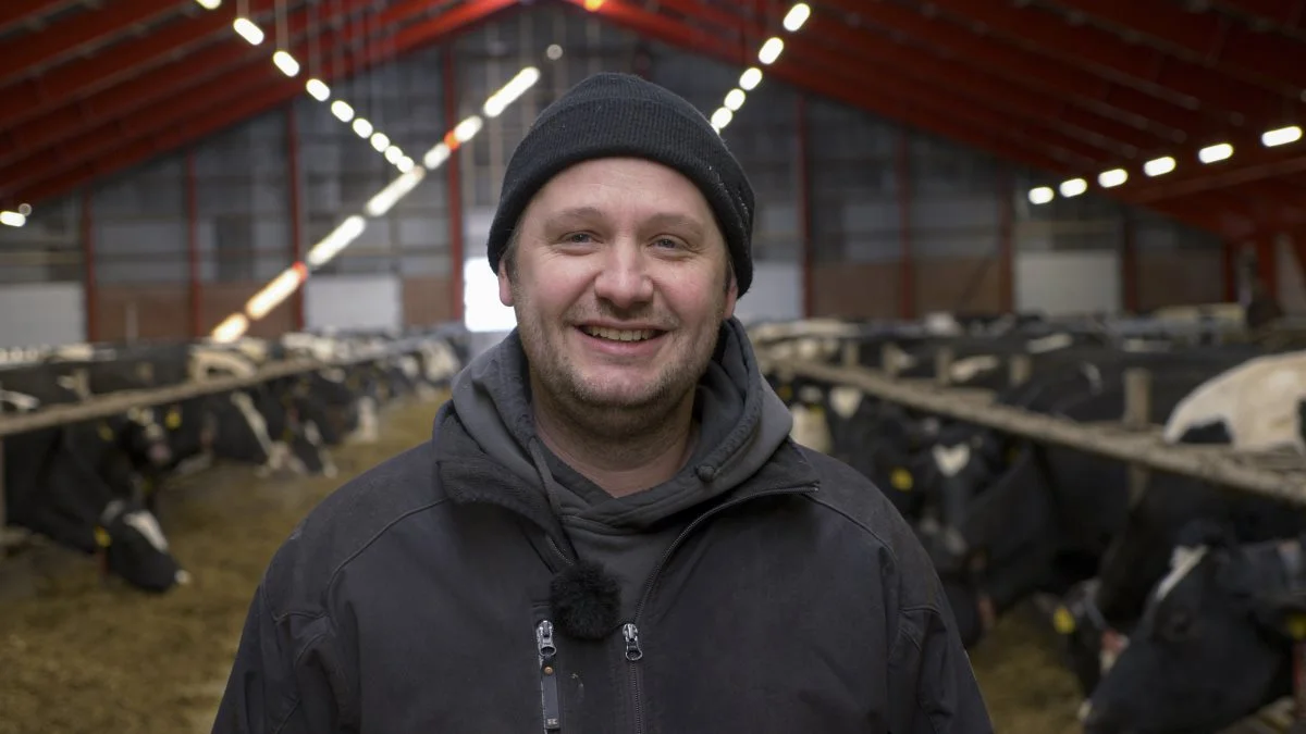 - Vi er rigtigt glade for at være nået hertil, hvor vi begynder at udfase soja i vores foderstrategi. Det er klart, at det rent praktisk er en stor omvæltning for os landmænd, men for os skal produktion og bæredygtighed gå hånd i hånd for at det giver mening, og så er det jo ret fedt, at vi selv kan dyrke raps, ærter og hestebønner til vores køer, fortæller mælkeproducent Søren Just, Vildbjerg.