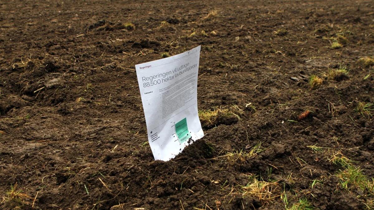 I sidste uge meldte regeringen ud, at den vil udtage 88.500 hektar lavbundsjord. Det er dog en sandhed med modifikationer. Foto: Lasse Ege Pedersen
