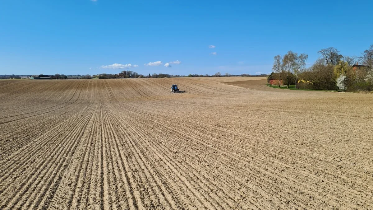 Foto: Agrofoto