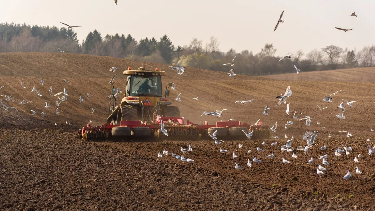 Regeringens netop fremlagte klimaplan for landbruget er på væsentlige områder direkte skadelig for klimaet, mener læserbrevskribenten. Foto: Colourbox