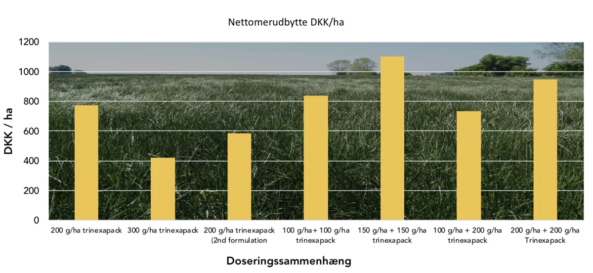Kilde: oversigt over Landsforsøgene 2016, side 147 Tabel 12
LSD: 129 kg/ha rajgræs