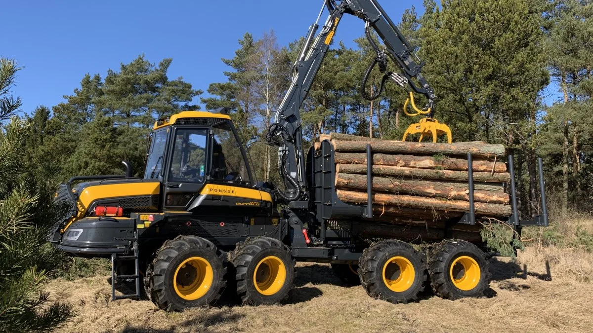Træet kan være salgbart til tømmer helt ned til 12 centimeter i top-diameter ved nåletræ. Foto: EHJ Energi og Natur
