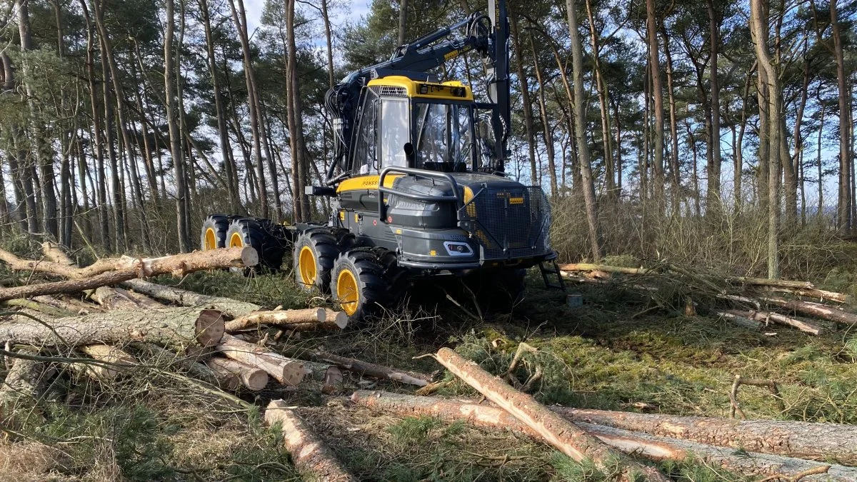 Hos EHJ Energi og Miljø råder man over egen skovfoged og maskiner til alle typer opgaver i skoven.