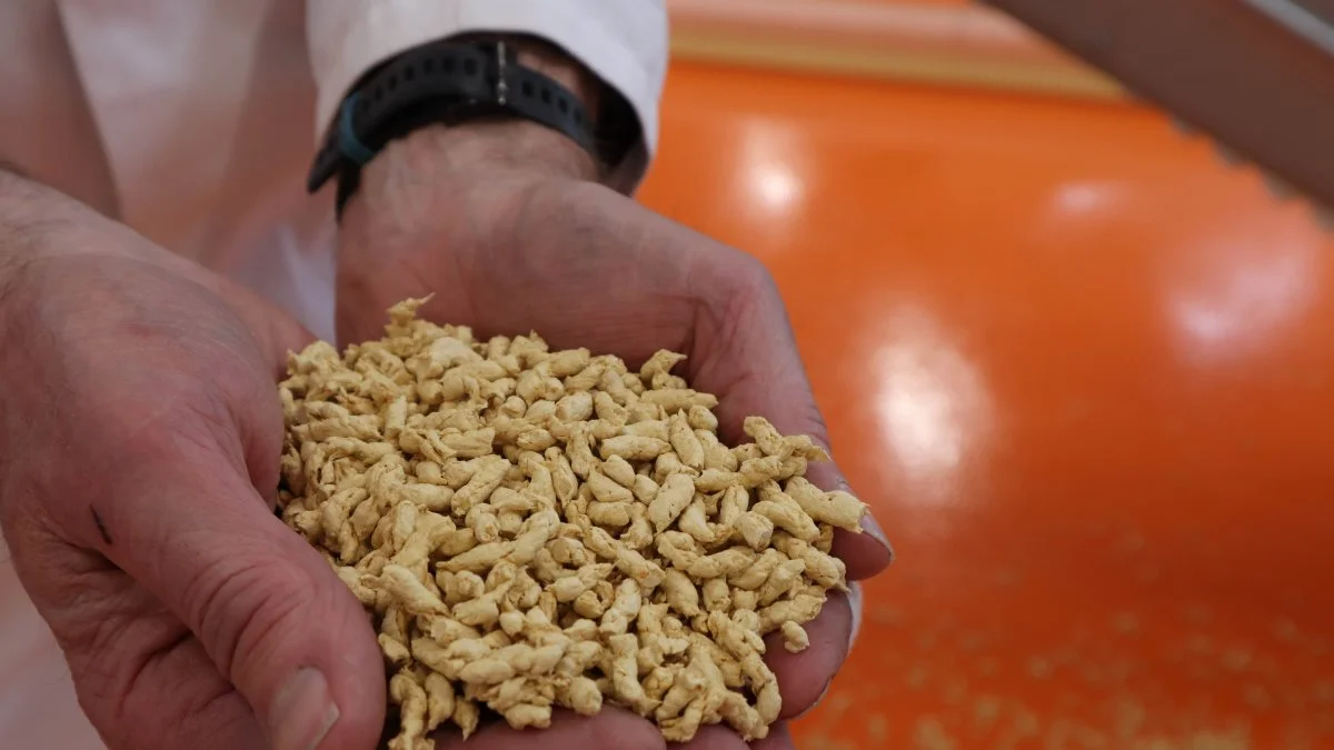 Organic Protein Plant har indgået aftaler med blandt andre danske butikskæder om salg til forbrugerne af posepakkede, såkaldt teksturerede proteinstykker af forskellig størrelse og med bid i som kød.