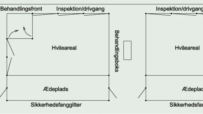 Eksempel på sygeafdeling opdelt i 2 afsnit til henholdsvis køer med og uden en smitsom sygdom.