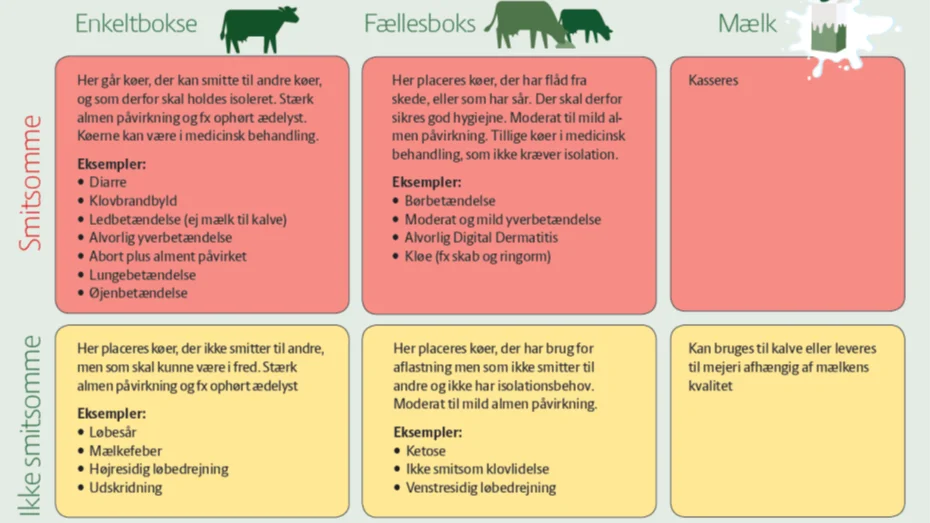 Eksempler på hvilke sygdomme, der kræver forskellige opstaldning i sygeafdelingen (Kilde SEGES).