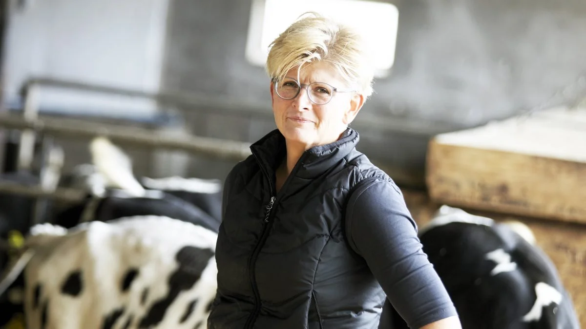 Mælkeproducenter presses af bankerne, lød kritikken fra næstformand i LandboSyd, Ingrid van den Hengel. Arkivfoto