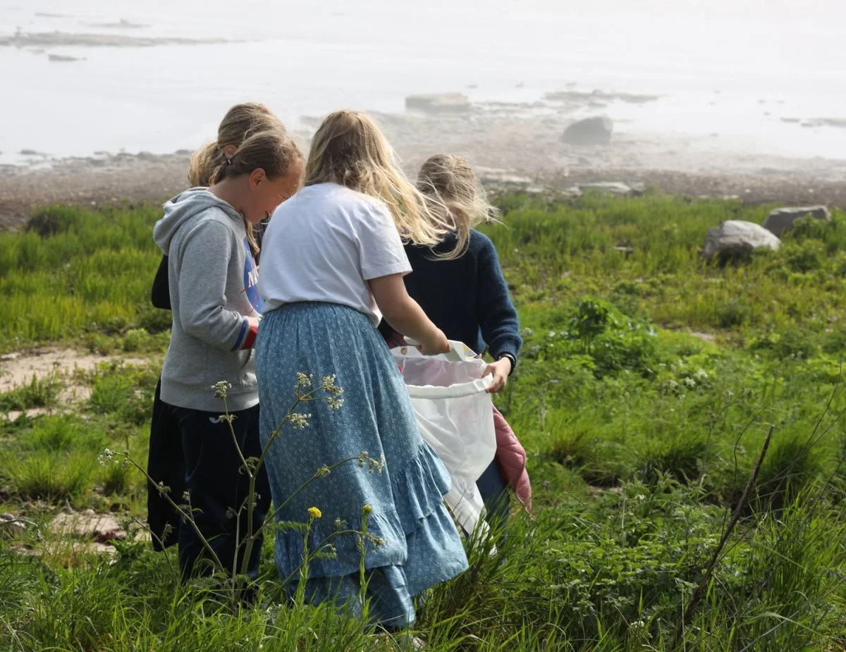Ved forsigtigt at fange et insekt, undersøge det og svare på spørgsmål i portalen, kan eleverne finde ud af, hvilket småkravl de har fanget.
