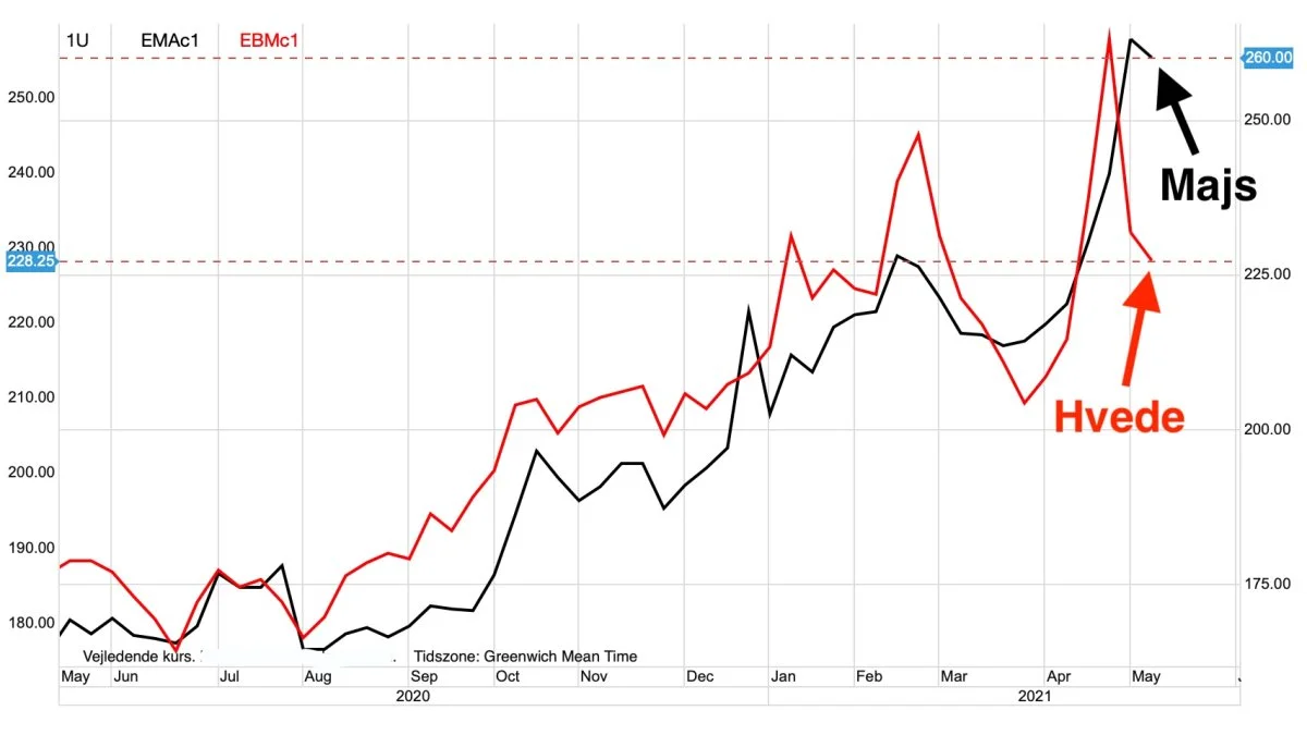MATIF-hvede vs. majs i euro pr. ton
Mens hvedeprisen er begyndt at sætte sig og et potentielt høstpres kan være i sin spæde begyndelse, så fortsætter prisen for majs i opadgående retning. 