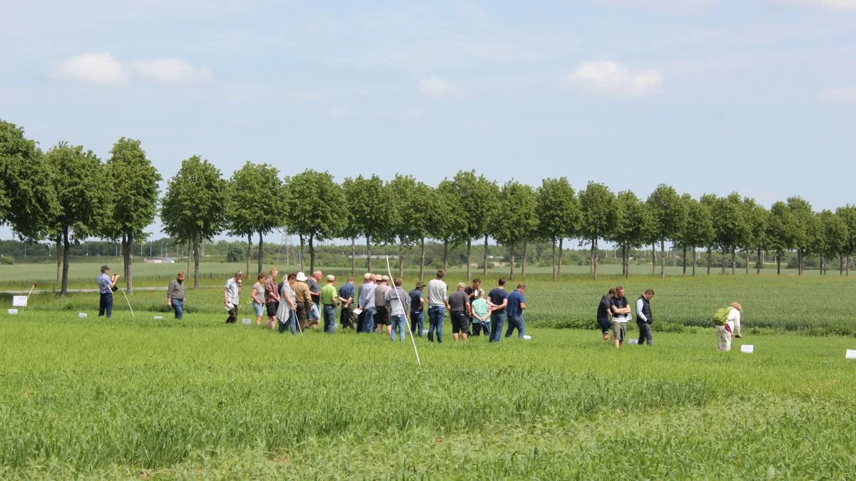 Markerne hos Roskilde Tekniske Skole danner igen i år rammen for Økologisk Plantedag – her fra en af de foregående år.