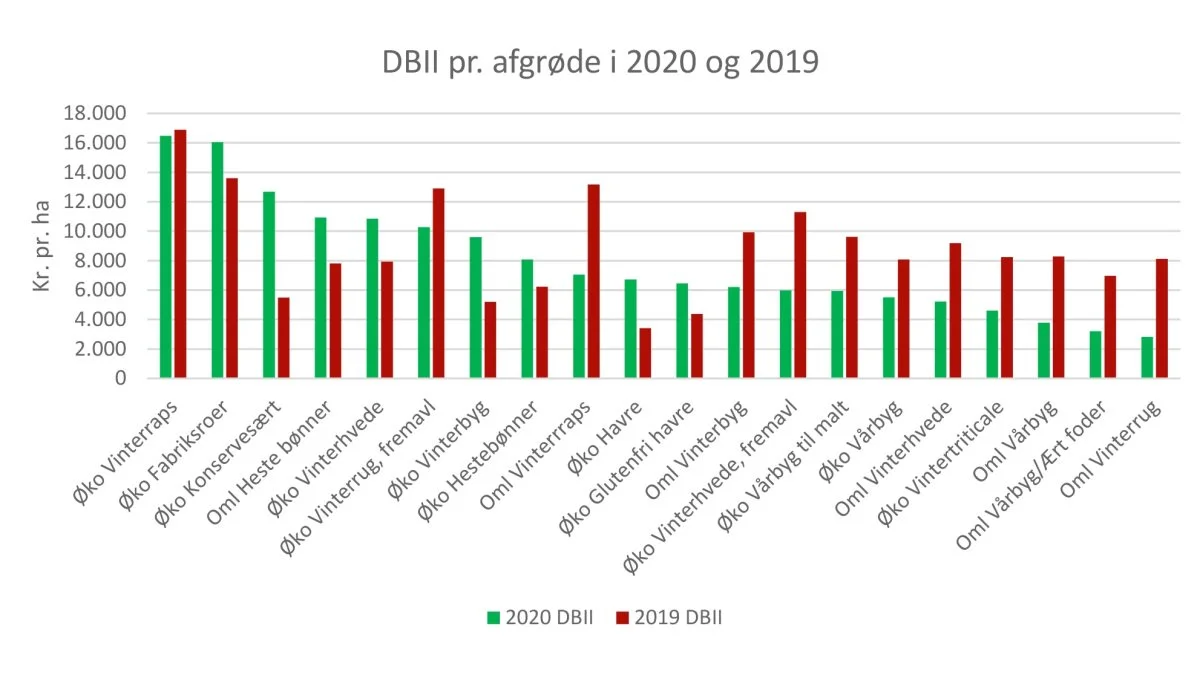 Figuren viser gennemsnitligt DBII i forskellige afgrøder opnået på de deltagende planteavlsbedrifter i 2019 og 2020. Kilde: Økologisk VKST, 2021
