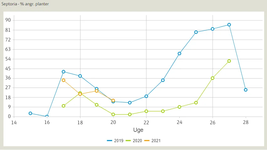 Udviklingen af Septoria i hvede i registreringsnettet i 2021 og i de to foregående år (procent angrebne planter). Kilde: Seges