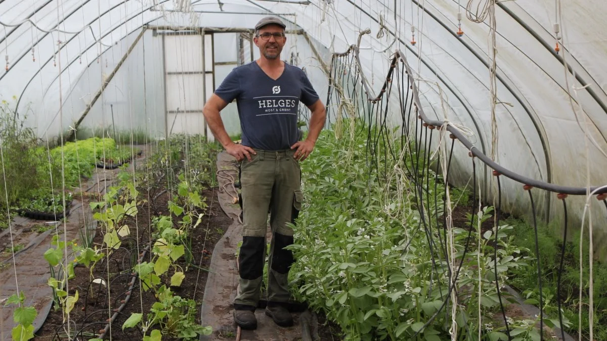 Direkte salg til forbrugere og restauranter er nøglen til at få 4,5 hektar til at blive en bæredygtig forretning for Helge Bülow. Fotos: Christian Carus