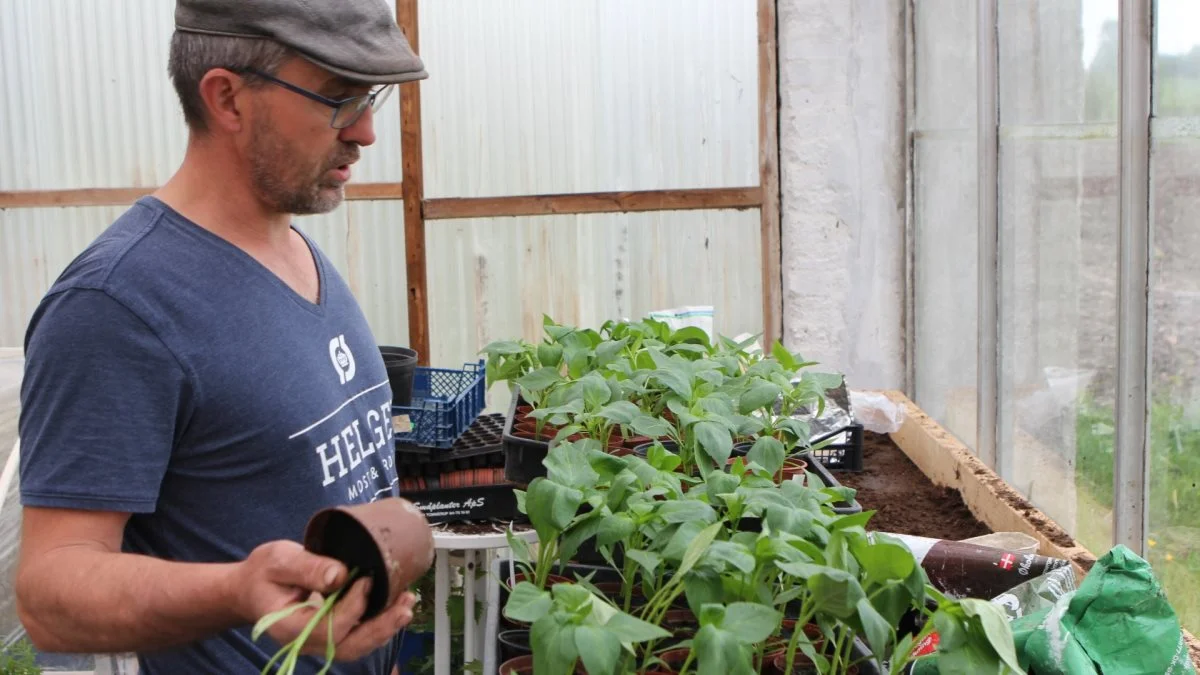 Helge Bülow sætter en ære i at dyrke langt de fleste planter helt fra bunden.