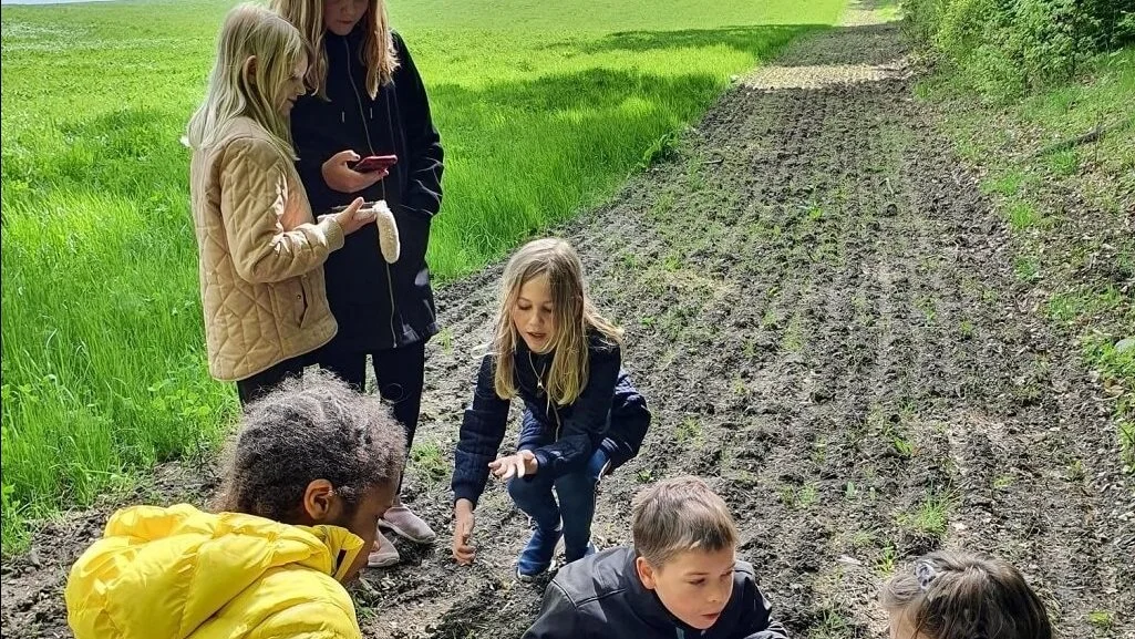  3. b fra Bramsnæsvigskolen i Kirke Hyllinge var ivrige i deres søgen efter smådyr og insekter på den nye Biernes Dag 20. maj. Foto: Syngenta     