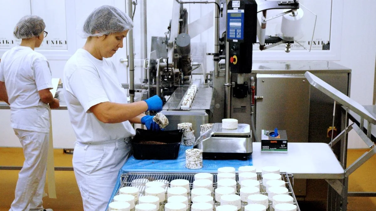 Den høje efterspørgsel på osten fra Troldhede Mejeri fra japansk er blevet startskuddet for en 50 millioner kroners udvidelse og optimering af produktionen. Arkivfoto