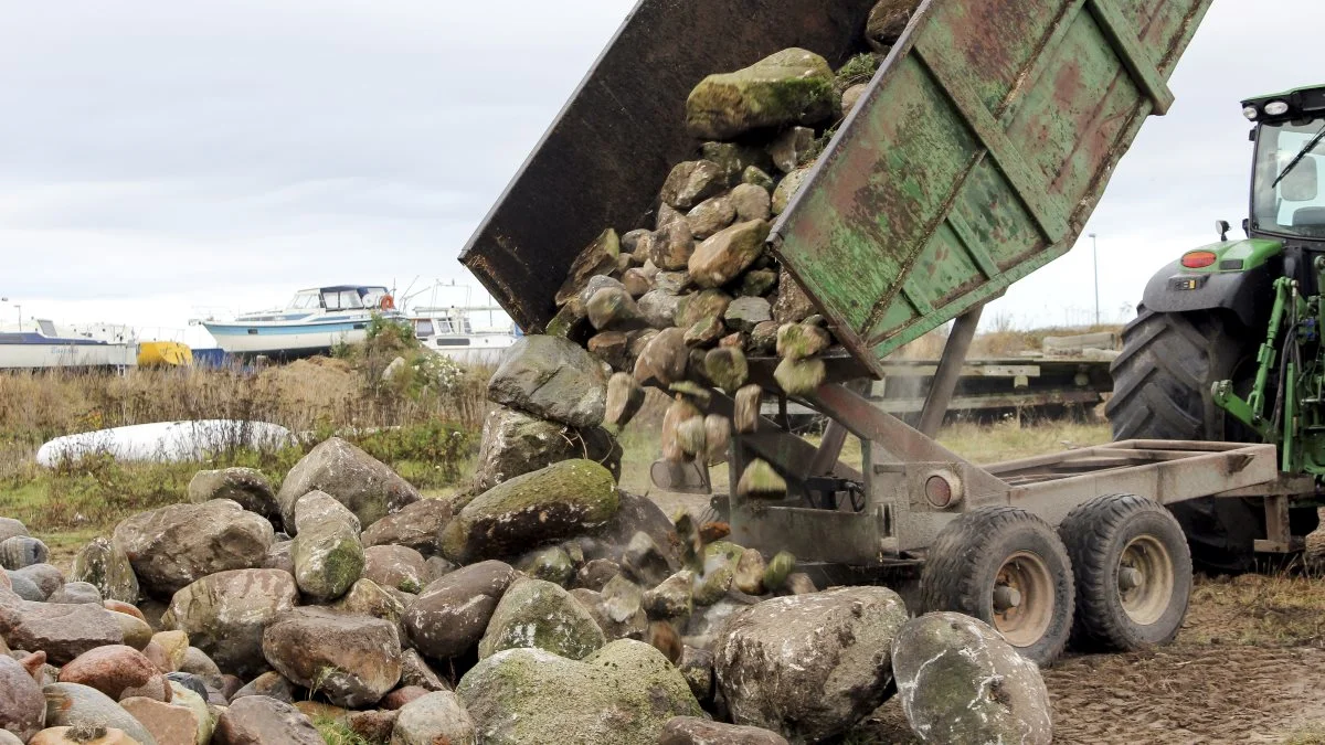 I 2016 blev der blandt landmænd ved Løgstør samlet sten ind fra marker til det stenrevsprojekt i Limfjorden, som nu er afsluttet. Foto: Anne Kjærsgaard Krogh