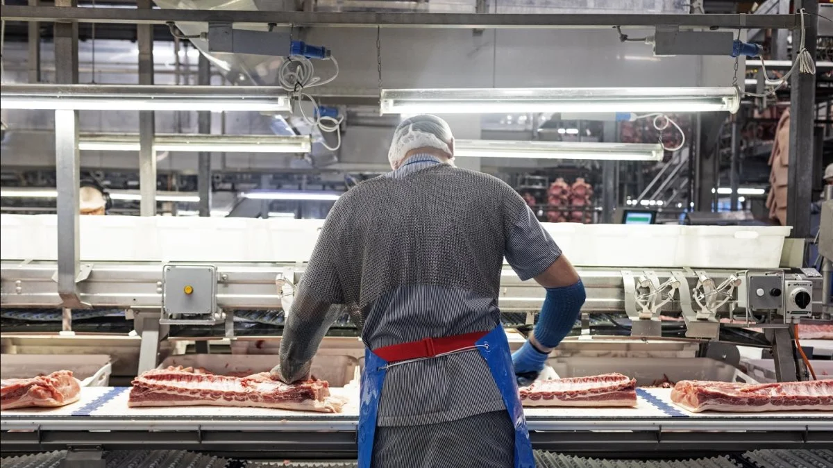 Leverandører af slagtesvin til Danish Crown kan forvente at få 11,70 kroner pr. kg for slagtesvin i vægtklassen 72 til 96,9 kg. Foto: Red Star Photography; Esbjerg