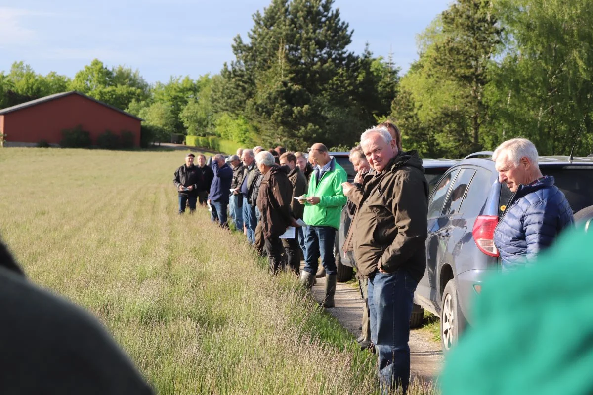 Over 60 deltagere var tilmeldt markturen på Boderupgaard på Falster. Foto: Jørgen P. Jensen