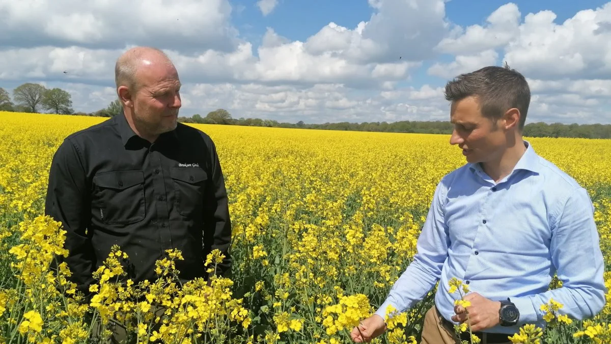 Driftsleder på Broksø Gods, Finn Jakobsen (til venstre), og markedsdirektør hos Danish Agro, Christian Hjerpsted, er godt tilfredse med afgrødernes foreløbige tendens til kvalitet og udbytte. Foto: Henriette Lemvig
