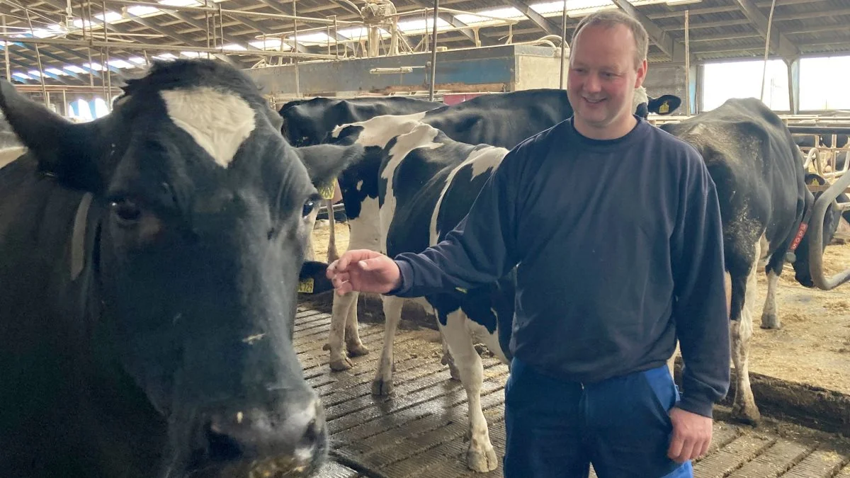 Søren Dyssemark Knudsen ønsker at optimere inden for de rammer, han har valgt at have. Han tror på, at køerne fortsat har stort potentiale.