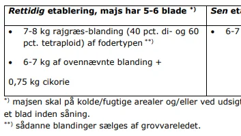 Efterafgrøderne blev sået på to forskellige tidspunkter: Tidligt i majsens 5-6 bladstadie og sent
i majsens 9-10 bladstadie.
Den tidlige såning gav det absolut bedste plantedække.  Kilde: AgriNord