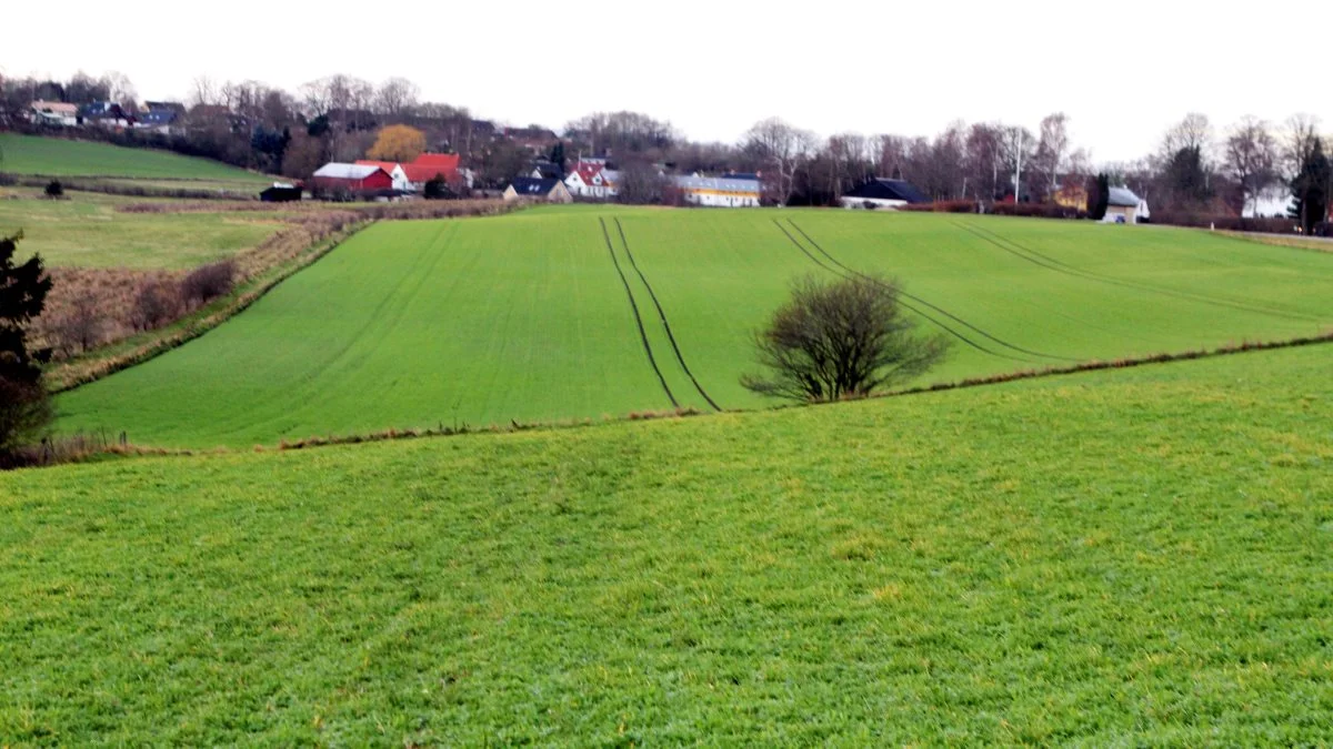 Marken i forgrunden ligger inden for et BNBO (boringsnært beskyttelsesområde) ved Bjellekær i Egedal. Arkivfoto