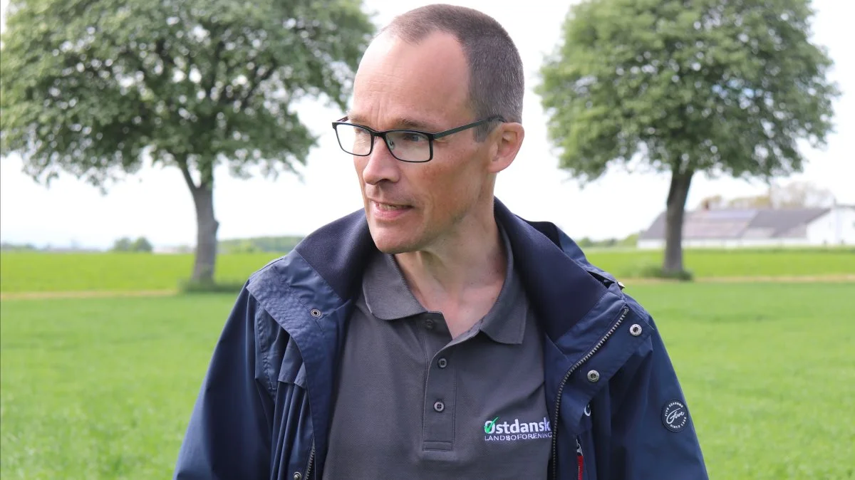 - Vi hører om flere spinatmarker, hvor man har måttet så større dele af marken om efter brug af Clomazon/Command eller marker, hvor mange spinatplanter er forsvundet. Og nogle steder ser sukkerroerne noget afbleget ud efter brug af Clomazon, fortæller Martin Clausen, planteavlskonsulent i Østdansk Landboforening.
