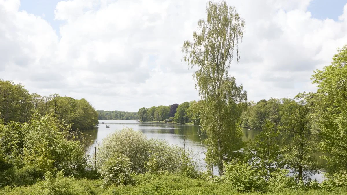 Med dens fredelige omgivelser rummer Vomme Sø et rigt fugleliv og mange fisk under overfladen.