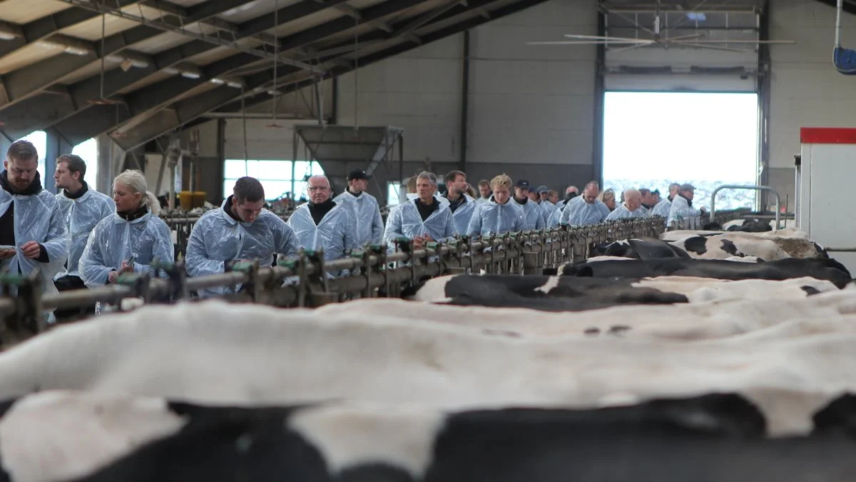 Tirsdag den 15. juni er der Grovfoderekskursion i Ribe. Arkivfoto: Christian Carus