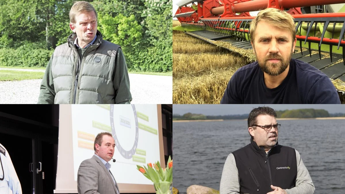 De fire landboformænd Torben Hansen, Hans Damgaard, H.C. Gæmelke og Torben Povlsen kalder processen omkring gennemførelsen af Baltic Pipe for tragikomisk. 