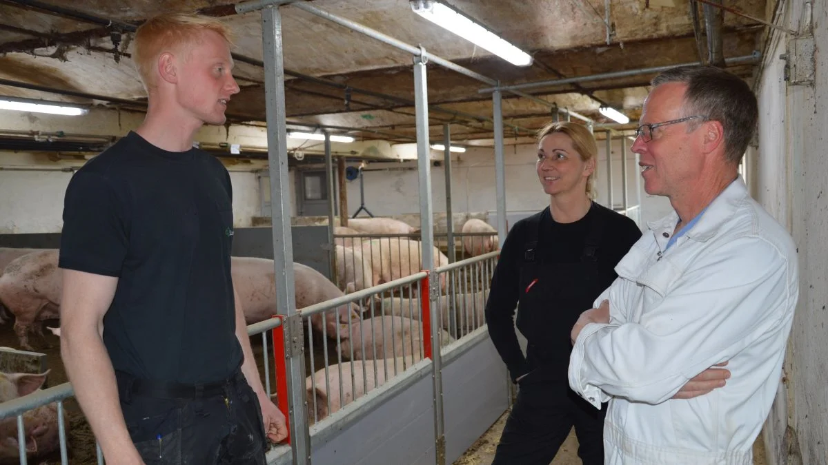 - Vi har nogle dygtige medarbejdere til at opretholde velfærden i stalden, og glade grise er gode grise, lyder det blandt andet fra Malthe Bach Laursen, der her ses til venstre i en snak med besætningsdyrlæge Kjetil Johansen fra LVK, og Frida der er ansvarlig for farestalden.

