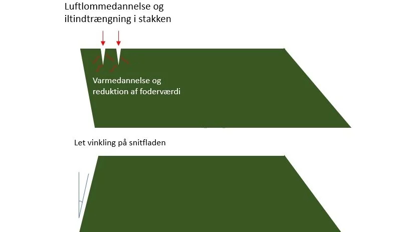 Illustration af snitfladens vinkling. På første stak skrider ensilagen lidt og giver anledning til iltindtrængning i stakken og efterfølgende varmedannelse, samt reduktion af foderværdien. Kilde: Maria Falkesgaard, Velas.