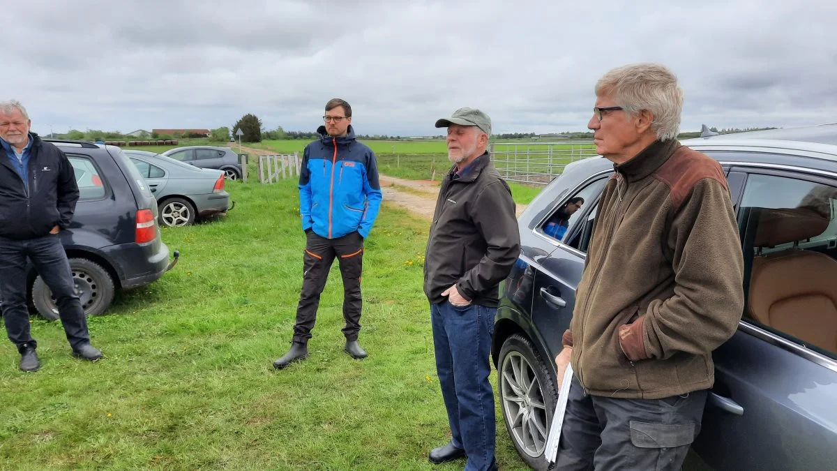 Formanden for Græsningsforeningen Nationalpark Vadehavet, Kjeld Andreasen, (i midten til højre), og den øvrige bestyrelse var med, da de sammen med lodsejere og repræsentanter fra Nationalpark Vadehavet lagde vejen forbi et græsningsprojekt i Alslev Marsk nær Alslev ved Varde.  Foto: John Ankersen