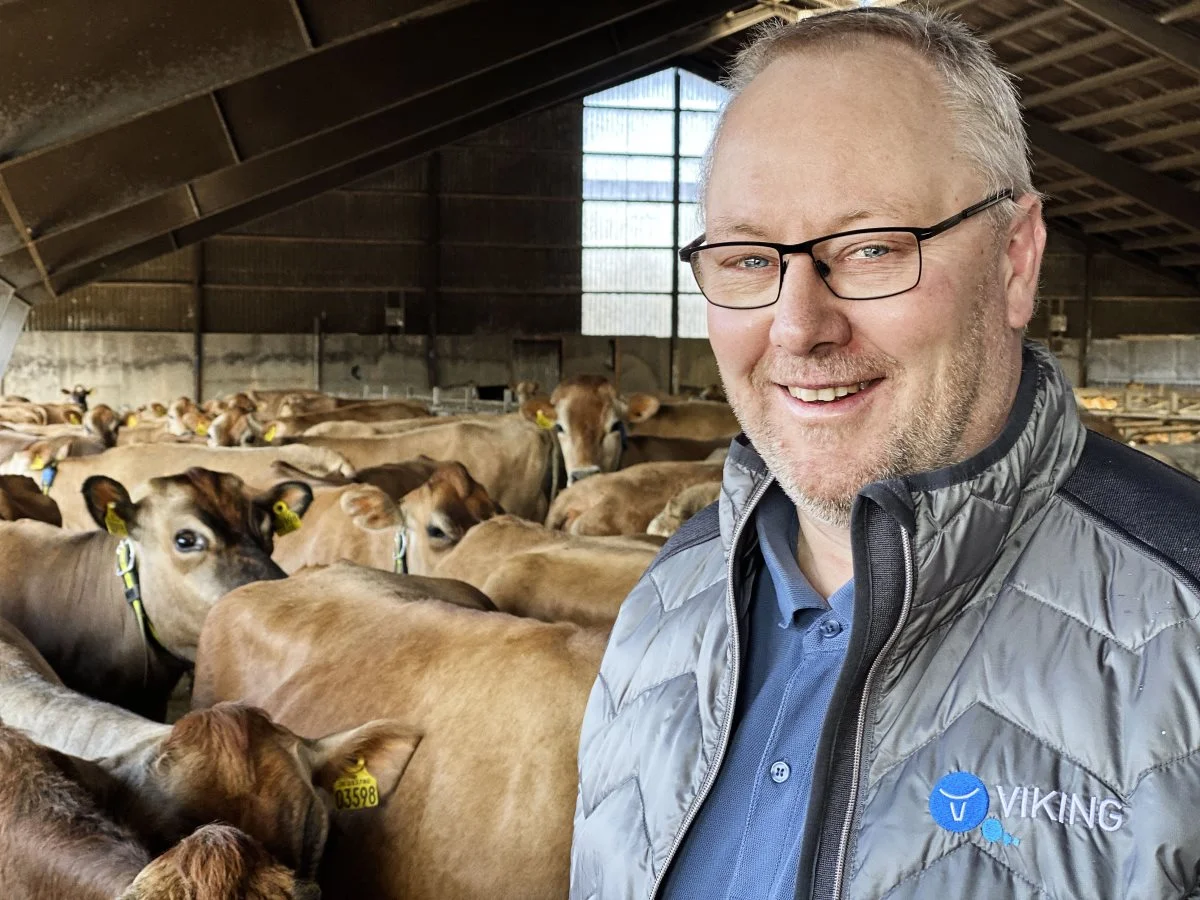 - Både RYK og VikingDanmark er sat i verden af de danske kvægbrugere for at gøre en forskel, siger bestyrelsesformand i VikingDanmark, Anders Levring, omkring et samarbejde mellem dem og RYK.