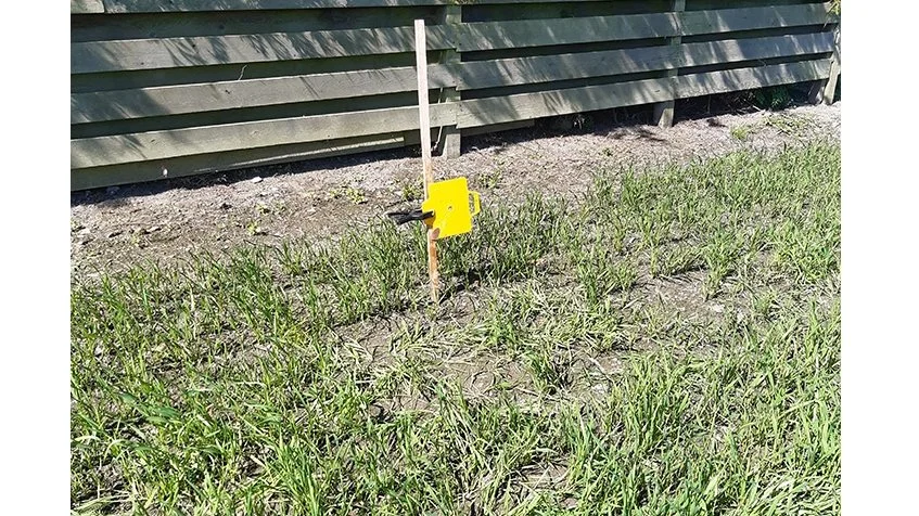 Limplade til fangst af bygfluer i vårhvede fotograferet 7. juni i år af Anders Düring Jørgensen, VKST. Der blev fanget 43 bygfluer på denne limplade i den forløbne uge. Fælden er opsat mellem Asnæs og Fårevejle på Sjælland.