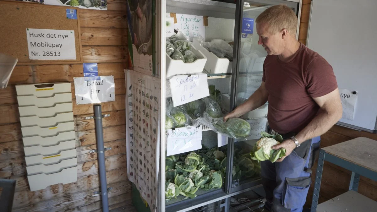 Gartneriet Toftlund har sin egen gårdbutik, hvor de mange grøntsager fra markerne kan købes. Bent Dam oplyser, at sidste års corona betød en fordobling af omsætningen. Den øgede fokus på friske, lokale varer håber han på, at forbrugerne vil fastholde. 