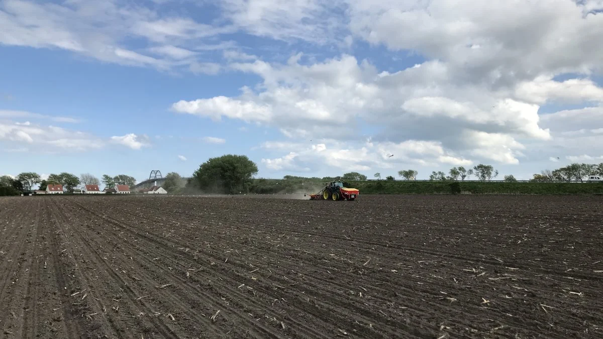 De rød/gule svenske Väderstad maskiner er bygget til lang holdbarhed, og bakkes op af et effektivt setup af service og reservedele. Her majssåning på Siø. Foto: Väderstad Danmark


