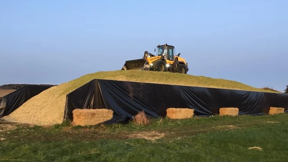 New Holland er et globalt varemærke for landbrugsmaskiner, der fremstilles af virksomheden CNH Industrial. New Holland-produkter omfatter traktorer, mejetærskere, høstudstyr m.v.