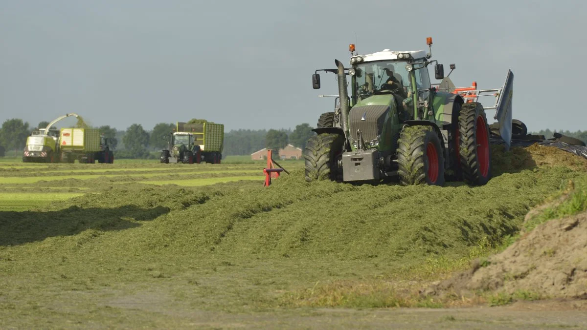 Selvom selvejet og familieejet fortsat er det dominerende, er der kommet flere ejerformer i spil i dansk landbrug i takt med, at bedrifterne er blevet større. Foto: Colourbox